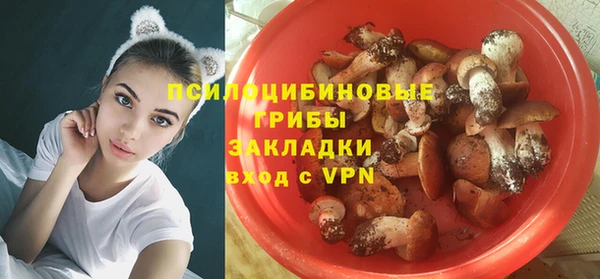 винт Зарайск