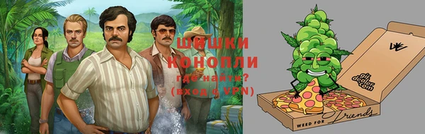 стаф Снежинск