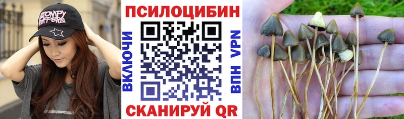 Галлюциногенные грибы мухоморы  Исилькуль 